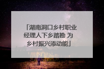 湖南洞口乡村职业经理人下乡踏勘 为乡村振兴添动能