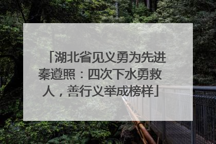 湖北省见义勇为先进秦遵照：四次下水勇救人，善行义举成榜样