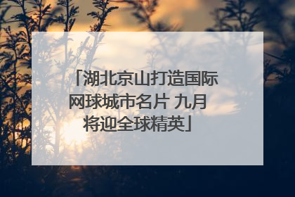 湖北京山打造国际网球城市名片 九月将迎全球精英