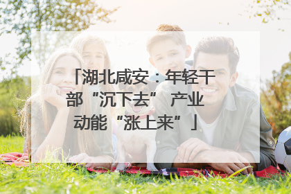 湖北咸安：年轻干部“沉下去” 产业动能“涨上来”