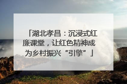 湖北孝昌：沉浸式红廉课堂，让红色精神成为乡村振兴“引擎”