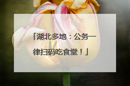 湖北多地：公务一律扫码吃食堂！
