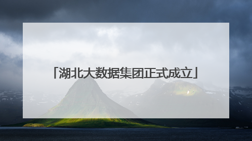 湖北大数据集团正式成立