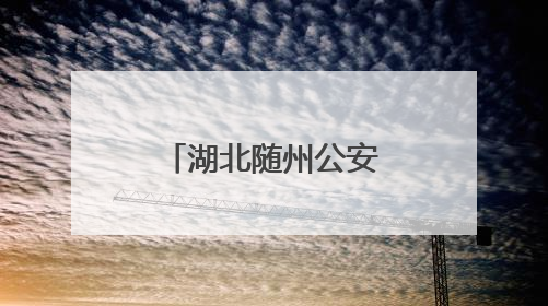 湖北随州公安交管部门“摆摊儿”话安全