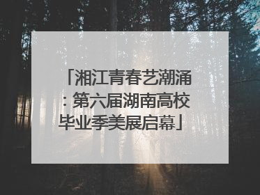 湘江青春艺潮涌：第六届湖南高校毕业季美展启幕