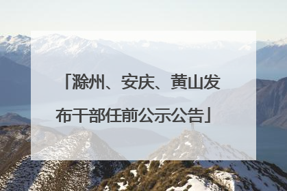 滁州、安庆、黄山发布干部任前公示公告
