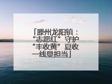 滕州龙阳镇：“志愿红”守护“丰收黄”夏收一线显担当