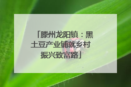 滕州龙阳镇：黑土豆产业铺就乡村振兴致富路