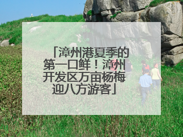 漳州港夏季的第一口鲜！漳州开发区万亩杨梅迎八方游客