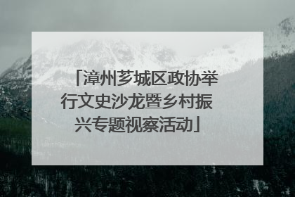 漳州芗城区政协举行文史沙龙暨乡村振兴专题视察活动
