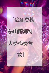漳汕高铁东山跨海特大桥栈桥合龙