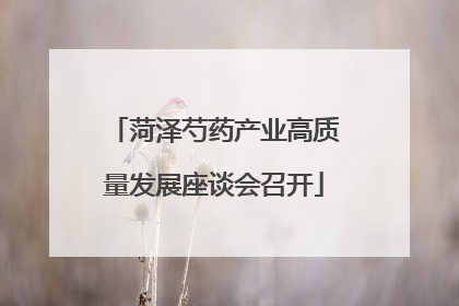菏泽芍药产业高质量发展座谈会召开