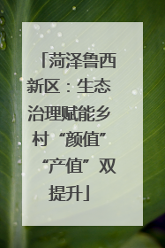 菏泽鲁西新区：生态治理赋能乡村“颜值”“产值”双提升