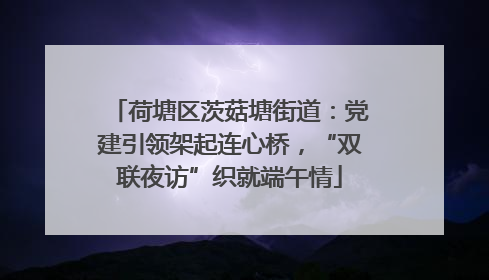 荷塘区茨菇塘街道：党建引领架起连心桥，“双联夜访”织就端午情