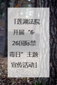 莲湖法院开展“6·26国际禁毒日”主题宣传活动