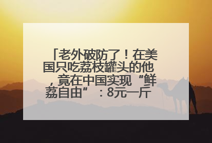 老外破防了！在美国只吃荔枝罐头的他，竟在中国实现“鲜荔自由”：8元一斤敞开吃！