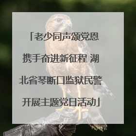老少同声颂党恩 携手奋进新征程 湖北省琴断口监狱民警开展主题党日活动