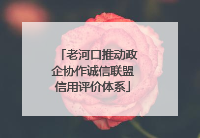 老河口推动政企协作诚信联盟信用评价体系