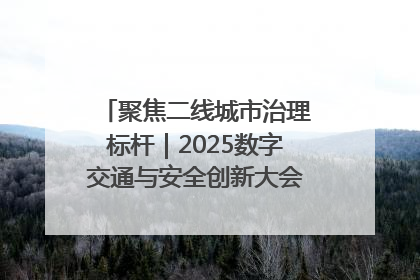 聚焦二线城市治理标杆｜2025数字交通与安全创新大会在保定隆重开幕