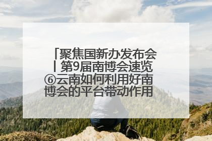 聚焦国新办发布会丨第9届南博会速览⑥云南如何利用好南博会的平台带动作用，深化与南亚国家的交流与合作？