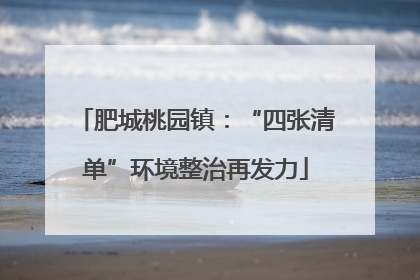 肥城桃园镇：“四张清单”环境整治再发力