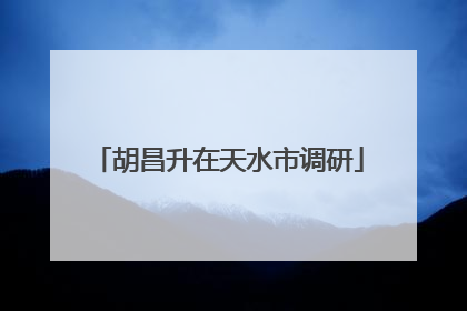 胡昌升在天水市调研