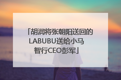 胡润将张朝阳送回的LABUBU送给小马智行CEO彭军