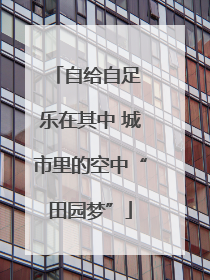 自给自足 乐在其中 城市里的空中“田园梦”