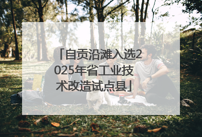 自贡沿滩入选2025年省工业技术改造试点县
