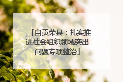 自贡荣县：扎实推进社会组织领域突出问题专项整治