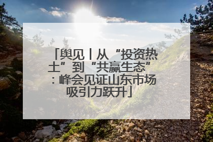 舆见丨从“投资热土”到“共赢生态”：峰会见证山东市场吸引力跃升