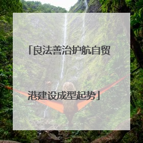 良法善治护航自贸港建设成型起势