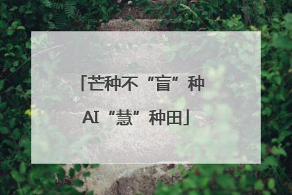 芒种不“盲”种 AI“慧”种田