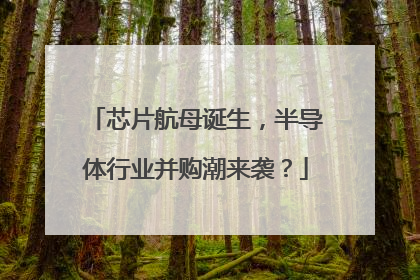 芯片航母诞生，半导体行业并购潮来袭？