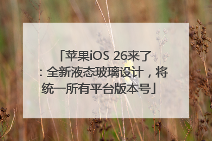 苹果iOS 26来了：全新液态玻璃设计，将统一所有平台版本号
