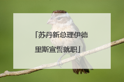 苏丹新总理伊德里斯宣誓就职