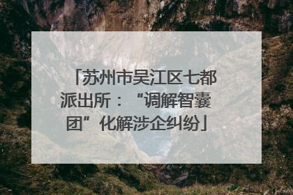 苏州市吴江区七都派出所：“调解智囊团”化解涉企纠纷