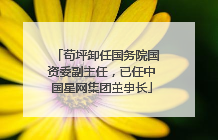苟坪卸任国务院国资委副主任，已任中国星网集团董事长