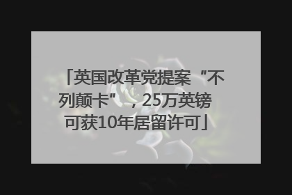 英国改革党提案“不列颠卡”，25万英镑可获10年居留许可