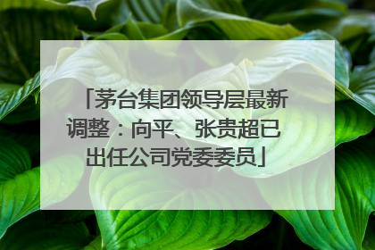 茅台集团领导层最新调整：向平、张贵超已出任公司党委委员