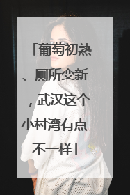 葡萄初熟、厕所变新，武汉这个小村湾有点不一样