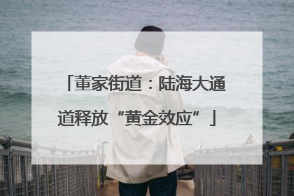 董家街道：陆海大通道释放“黄金效应”