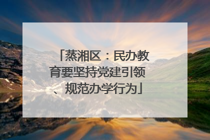 蒸湘区：民办教育要坚持党建引领、规范办学行为