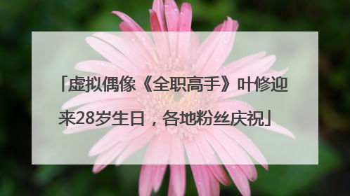 虚拟偶像《全职高手》叶修迎来28岁生日，各地粉丝庆祝