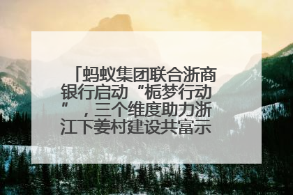 蚂蚁集团联合浙商银行启动“栀梦行动”，三个维度助力浙江下姜村建设共富示范区示范点