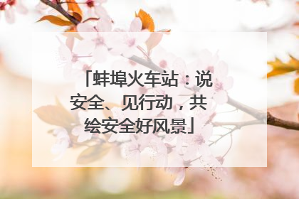 蚌埠火车站：说安全、见行动，共绘安全好风景
