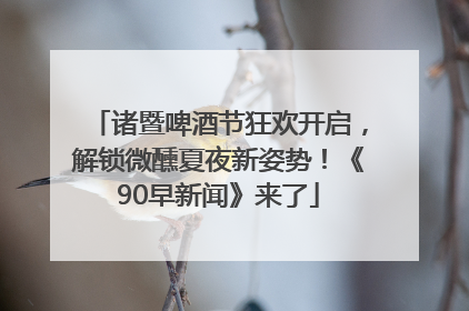 诸暨啤酒节狂欢开启，解锁微醺夏夜新姿势！《90早新闻》来了