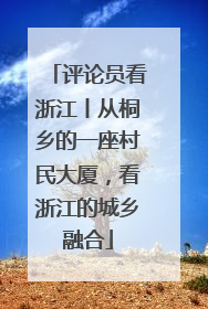 评论员看浙江丨从桐乡的一座村民大厦，看浙江的城乡融合