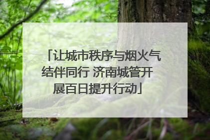让城市秩序与烟火气结伴同行 济南城管开展百日提升行动