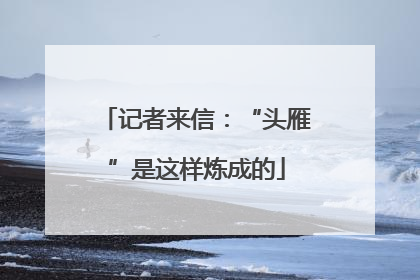 记者来信：“头雁”是这样炼成的